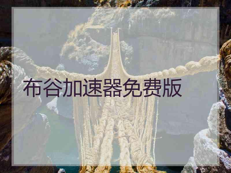 布谷加速器免费版