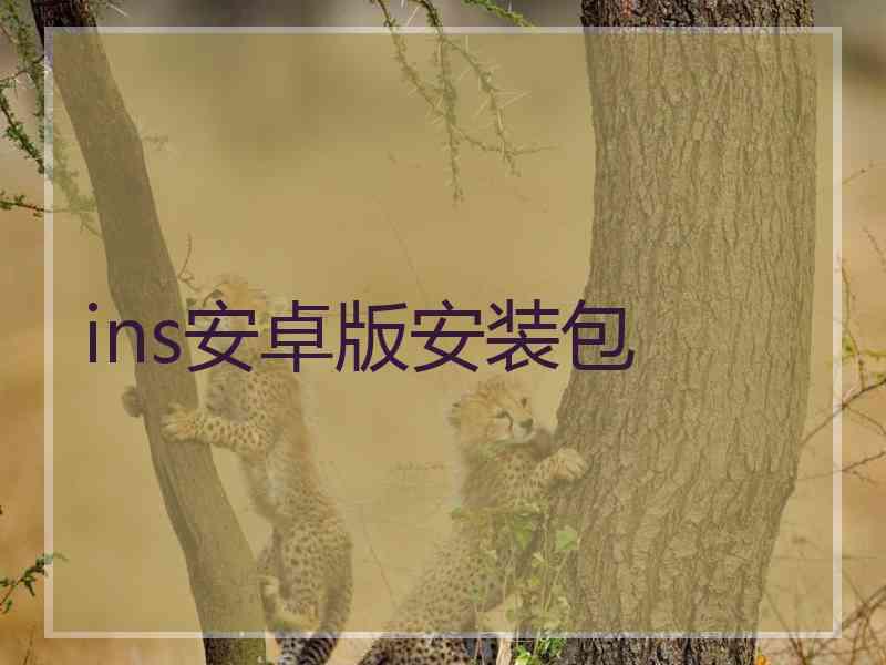 ins安卓版安装包