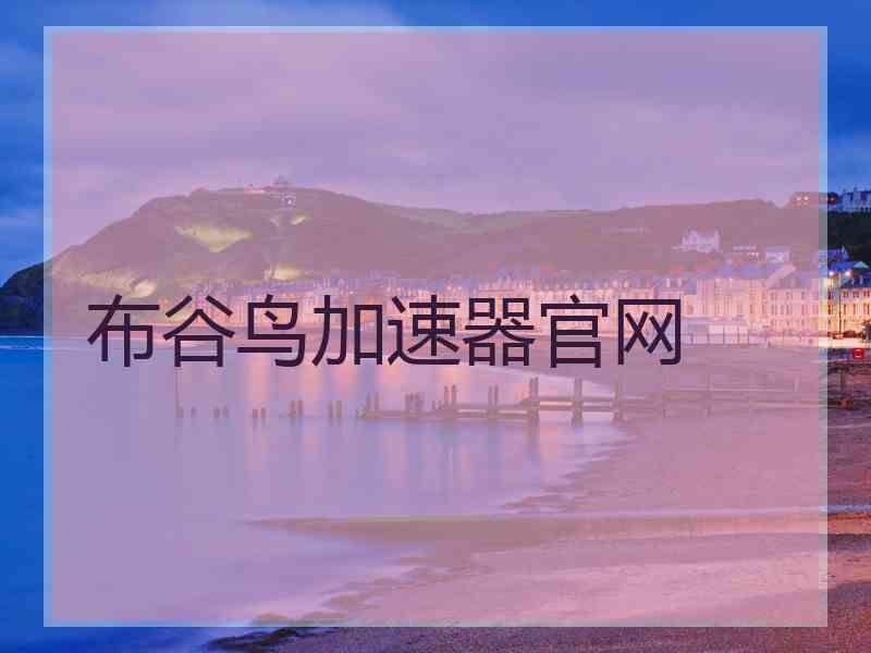布谷鸟加速器官网