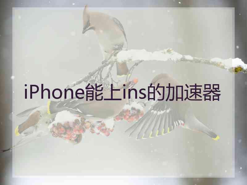 iPhone能上ins的加速器