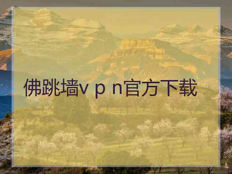佛跳墙v p n官方下载
