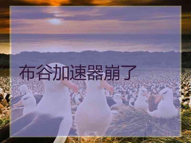 布谷加速器崩了