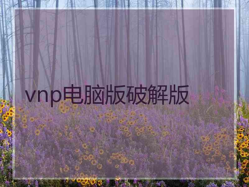 vnp电脑版破解版