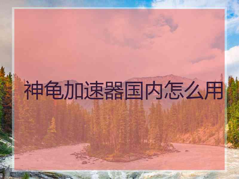 神龟加速器国内怎么用