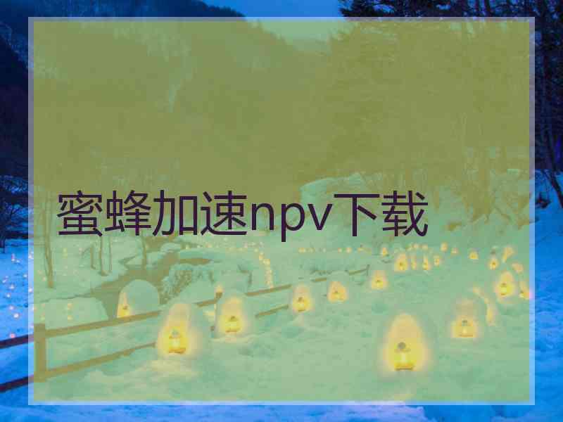 蜜蜂加速npv下载