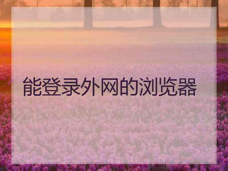 能登录外网的浏览器