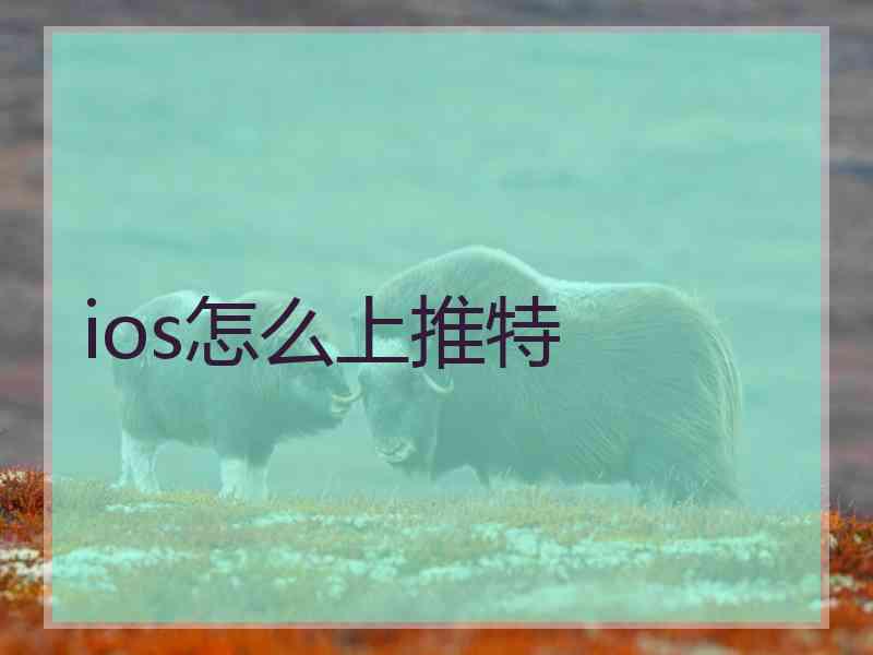 ios怎么上推特