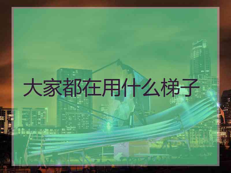大家都在用什么梯子