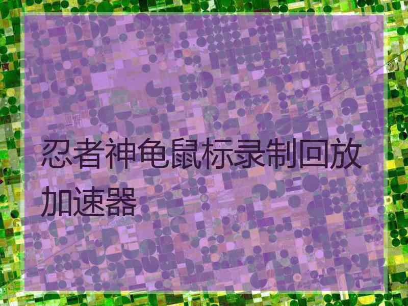 忍者神龟鼠标录制回放加速器