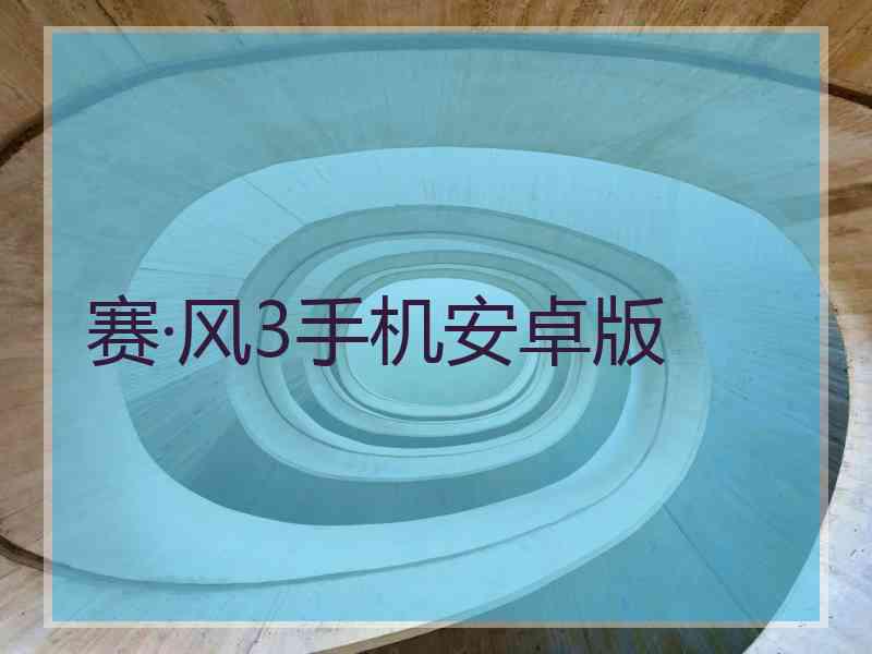 赛·风3手机安卓版