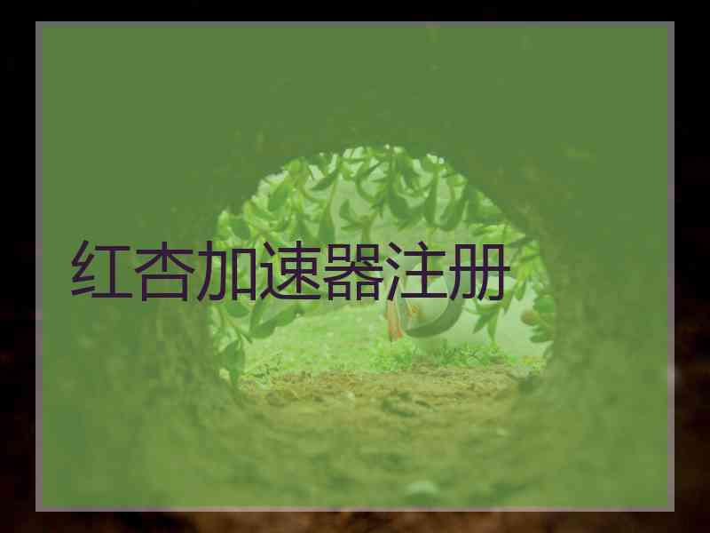 红杏加速器注册