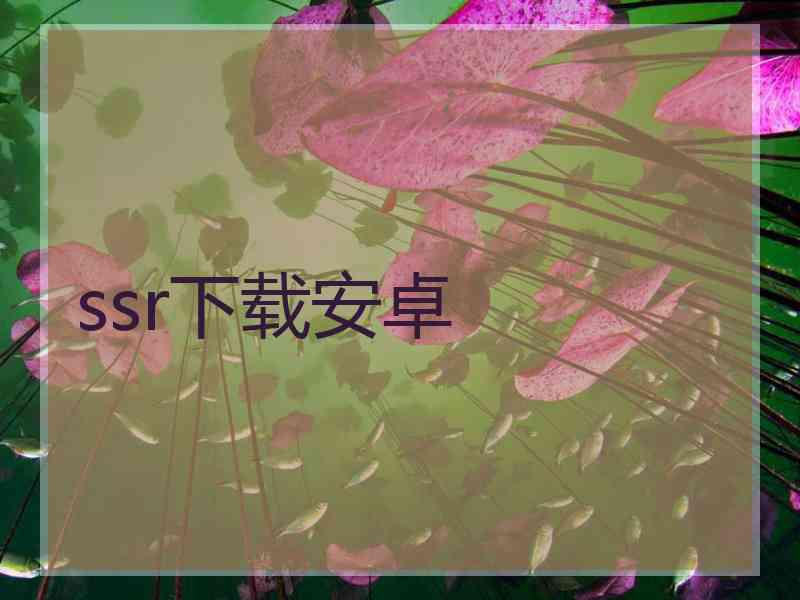 ssr下载安卓