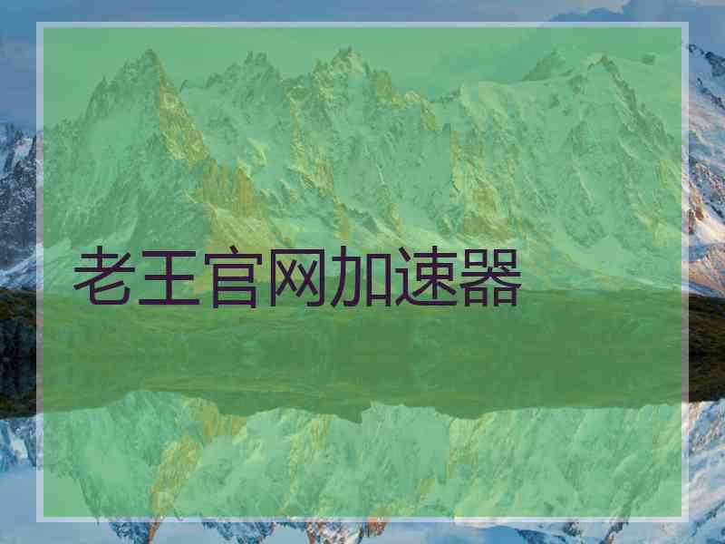 老王官网加速器