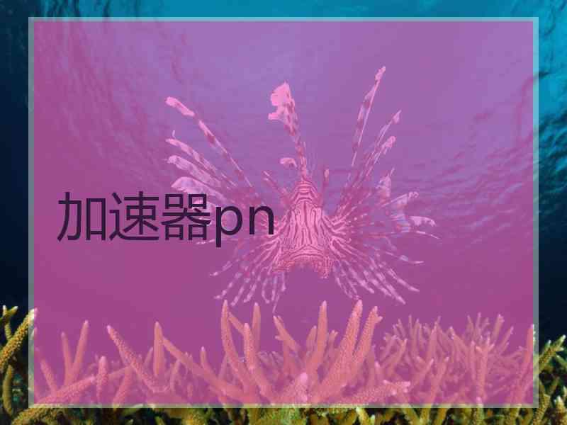 加速器pn