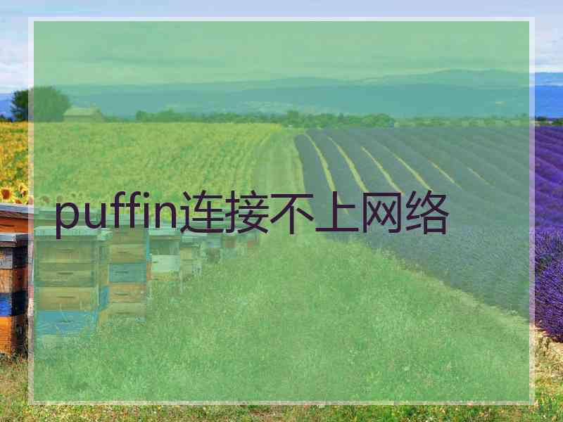 puffin连接不上网络