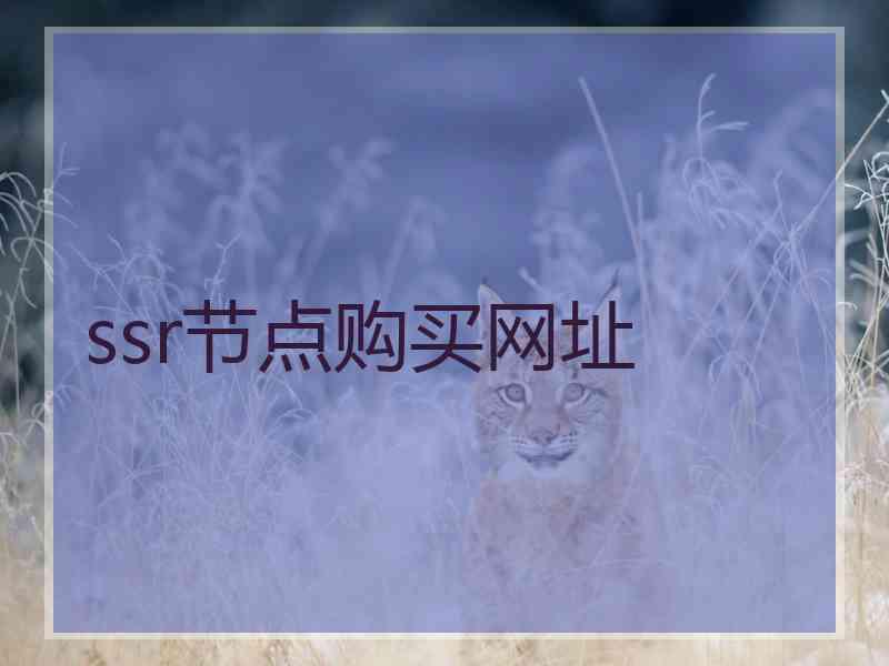 ssr节点购买网址