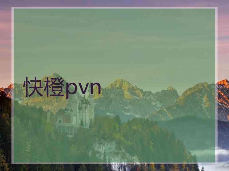 快橙pvn