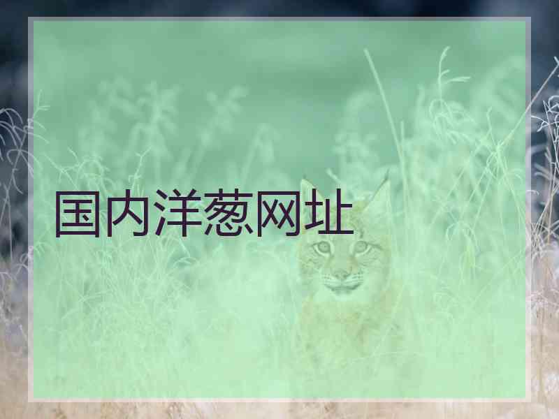 国内洋葱网址