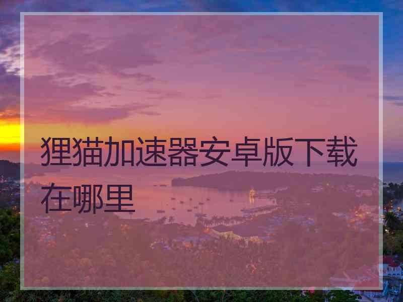 狸猫加速器安卓版下载在哪里