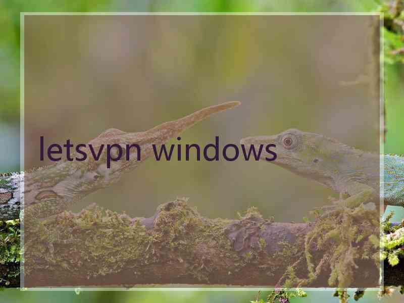 letsvpn windows