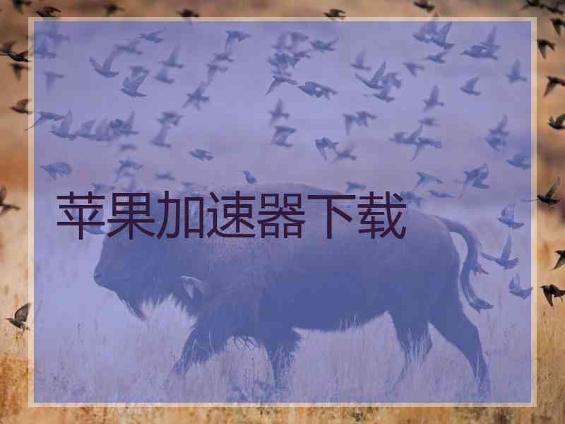 苹果加速器下载