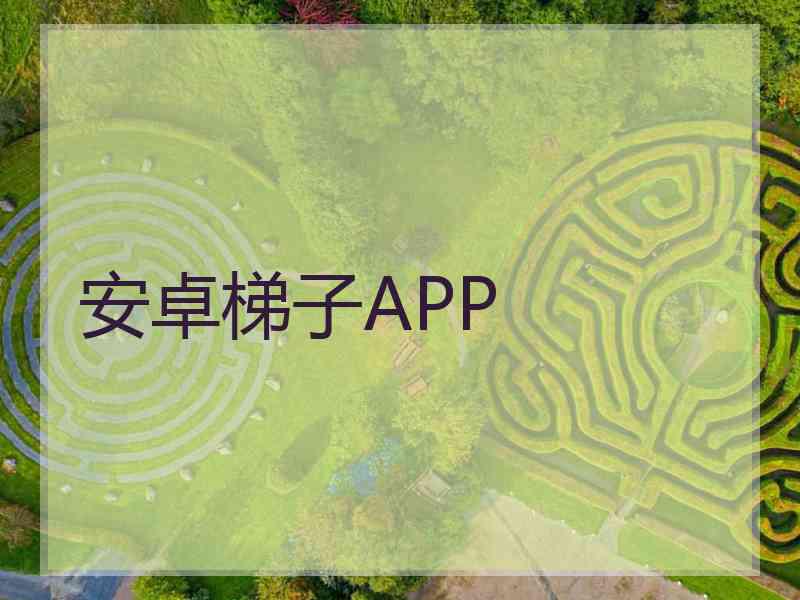 安卓梯子APP