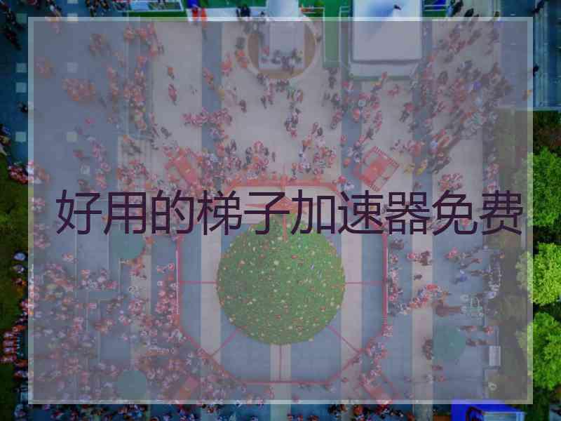 好用的梯子加速器免费