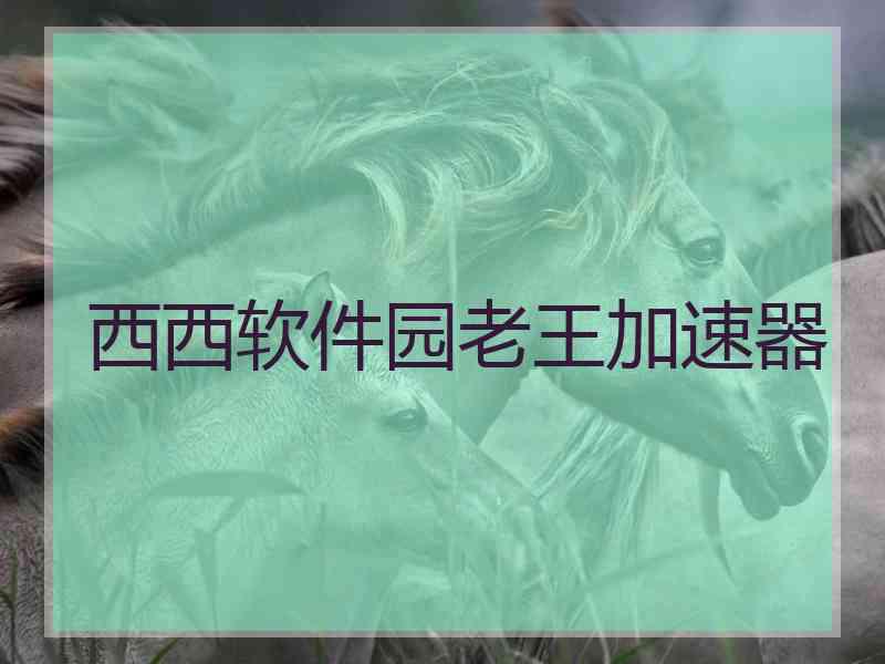 西西软件园老王加速器
