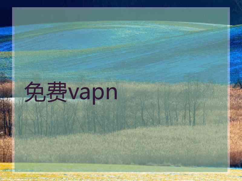 免费vapn