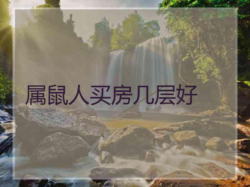 属鼠人买房几层好