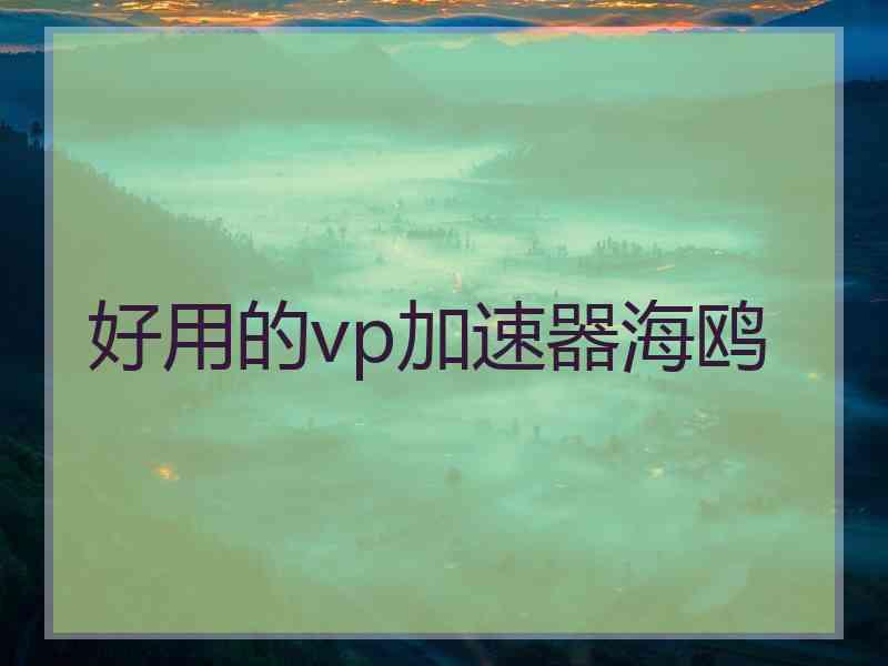好用的vp加速器海鸥