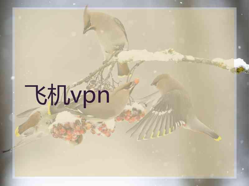 飞机vpn