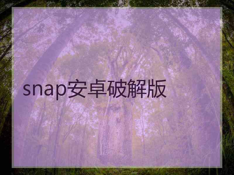 snap安卓破解版