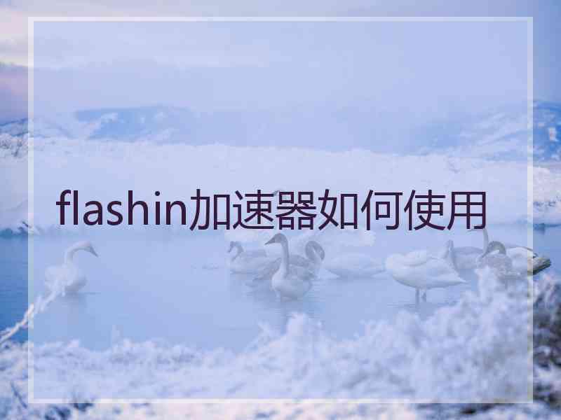 flashin加速器如何使用