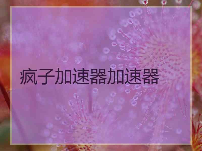 疯子加速器加速器