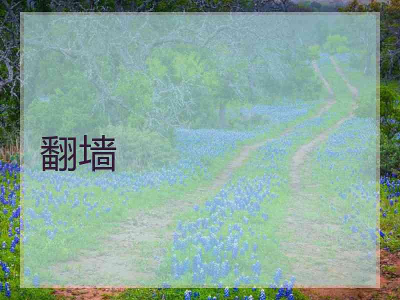 翻墙