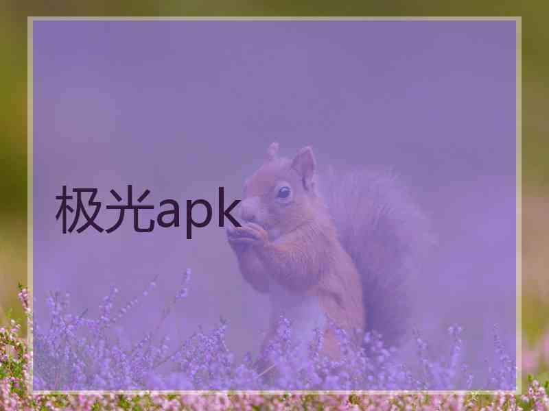 极光apk