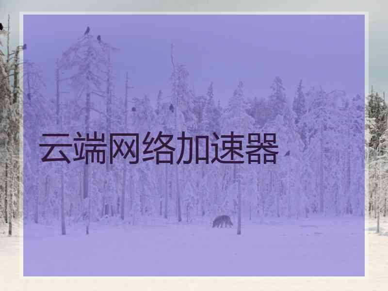 云端网络加速器