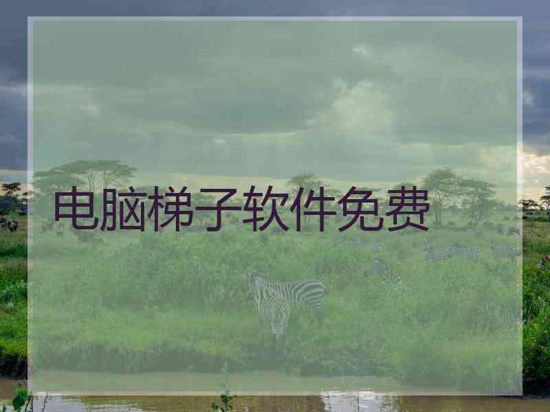 电脑梯子软件免费