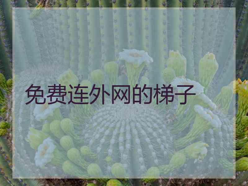 免费连外网的梯子