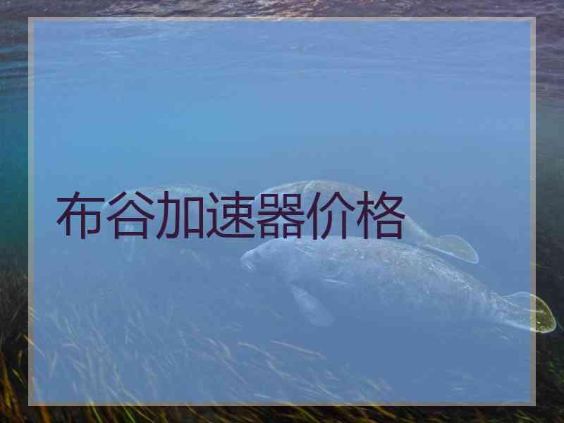 布谷加速器价格