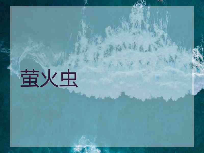 萤火虫