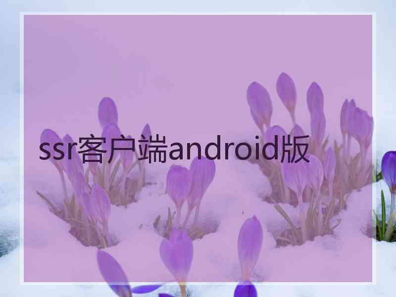 ssr客户端android版