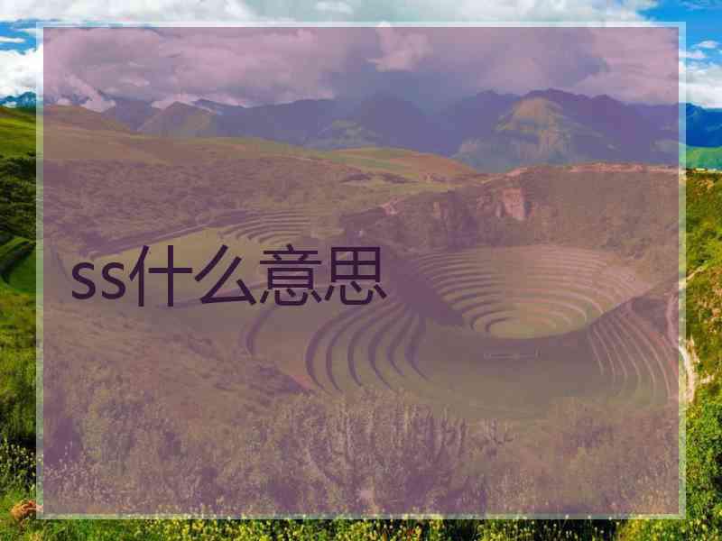 ss什么意思