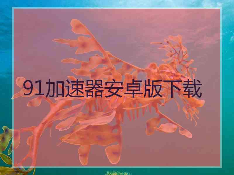 91加速器安卓版下载
