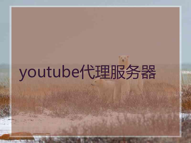 youtube代理服务器