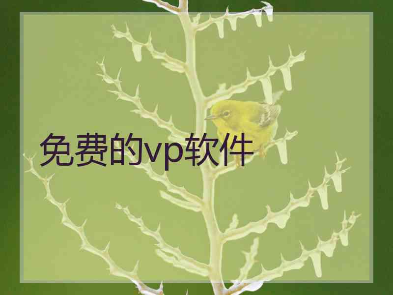 免费的vp软件