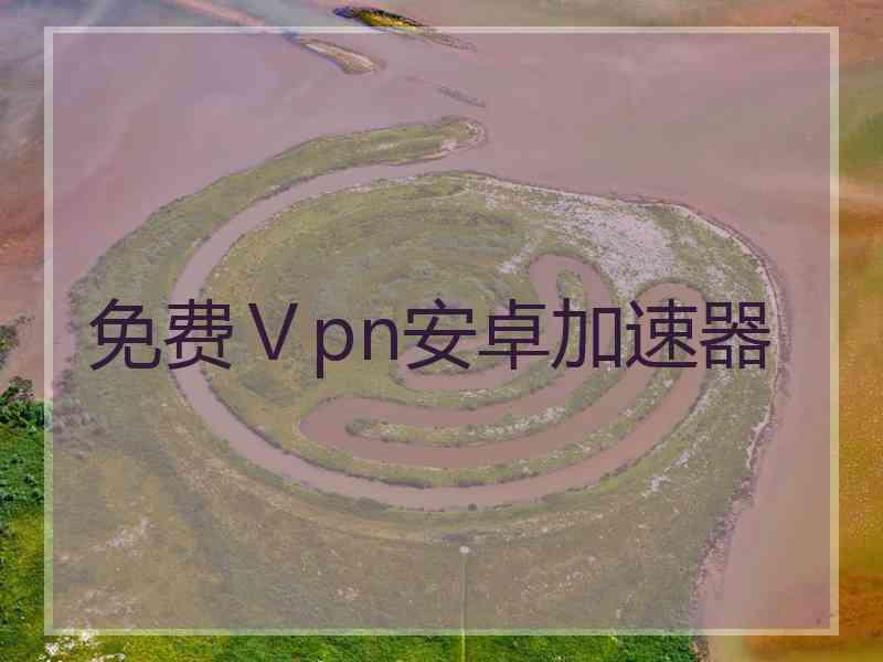 免费Ⅴpn安卓加速器