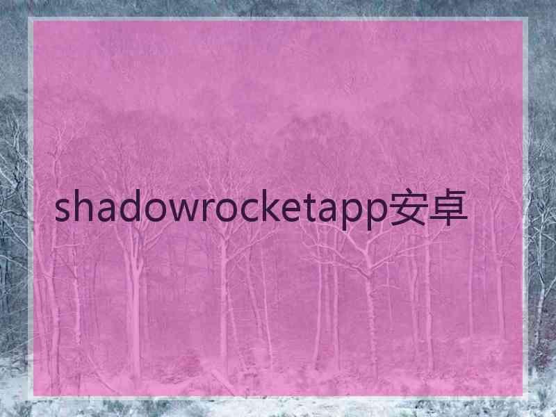 shadowrocketapp安卓