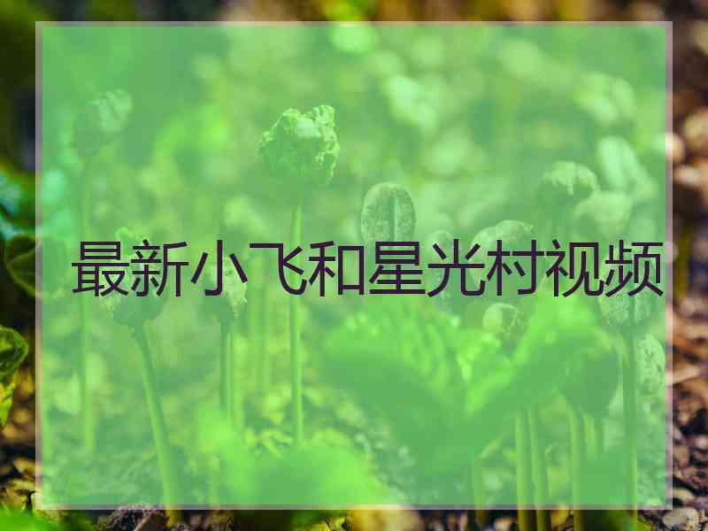 最新小飞和星光村视频